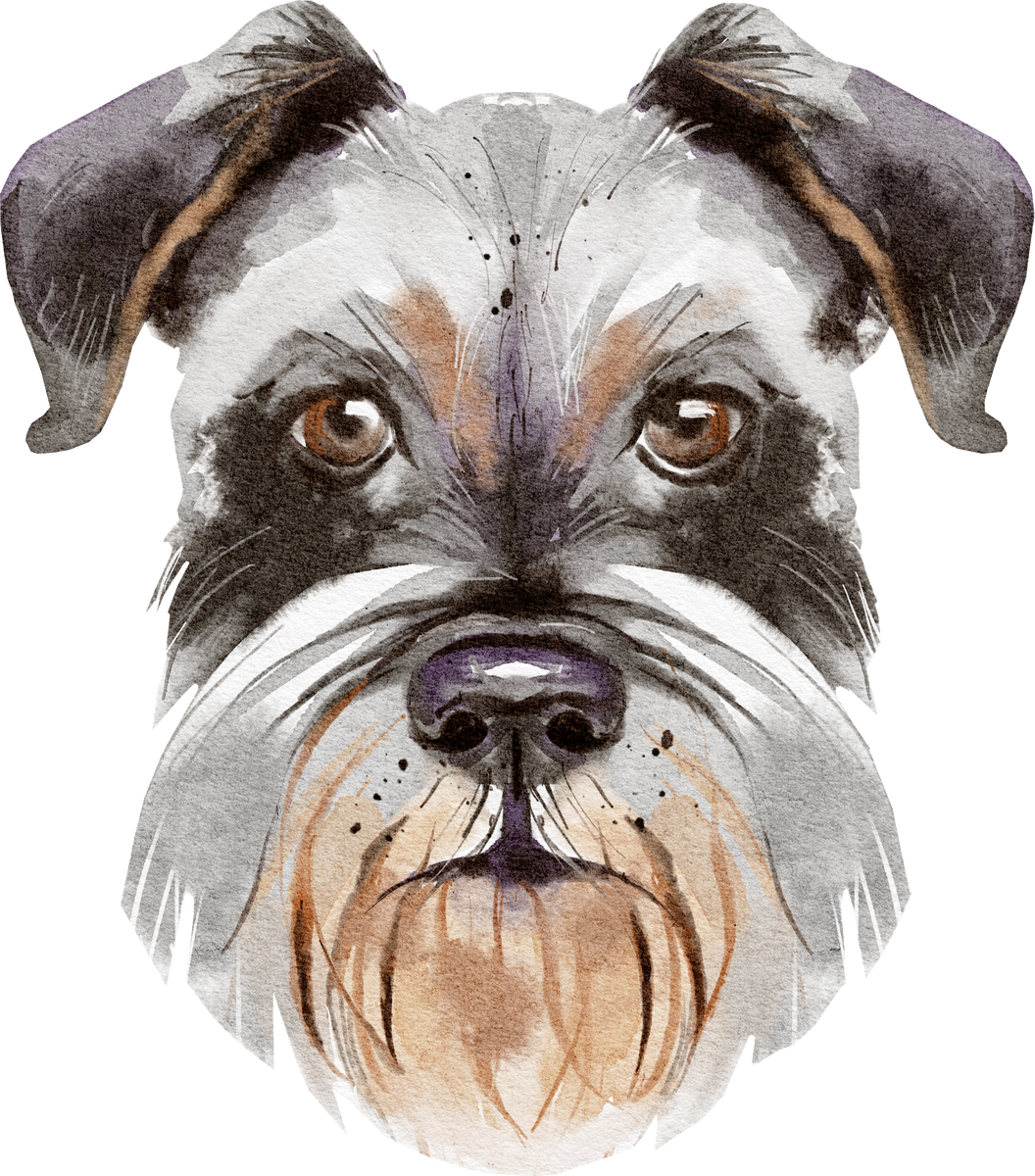 Watercolor dog pet breed portrait illustration